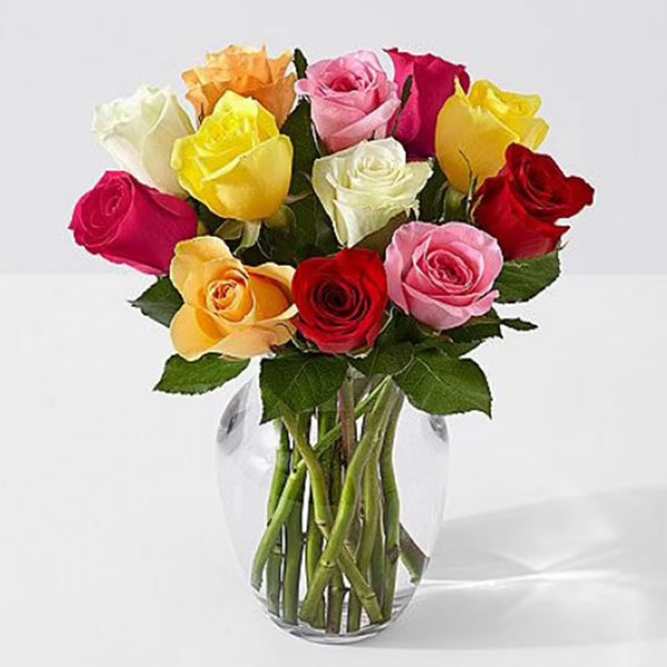 12 Mixed Roses Vase  – Midnight Delivery