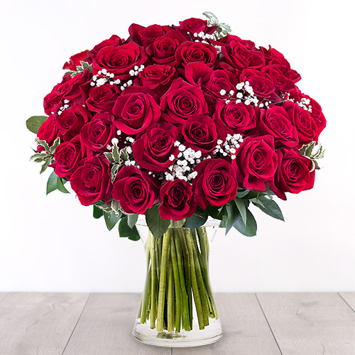 Fresh 50 Roses in a Vase