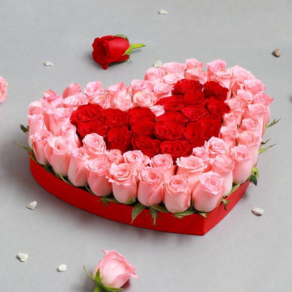 Romantic Rose Heart