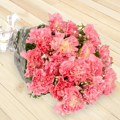 18 Pink Carnation Bouquet