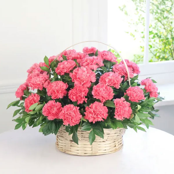 25 Pink Carnation Basket – Midnight Delivery