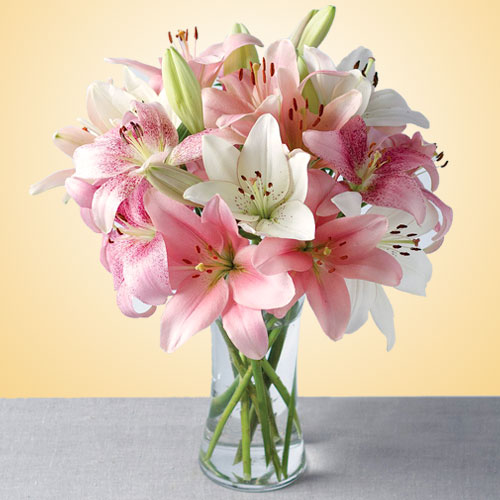 Charming Lilies