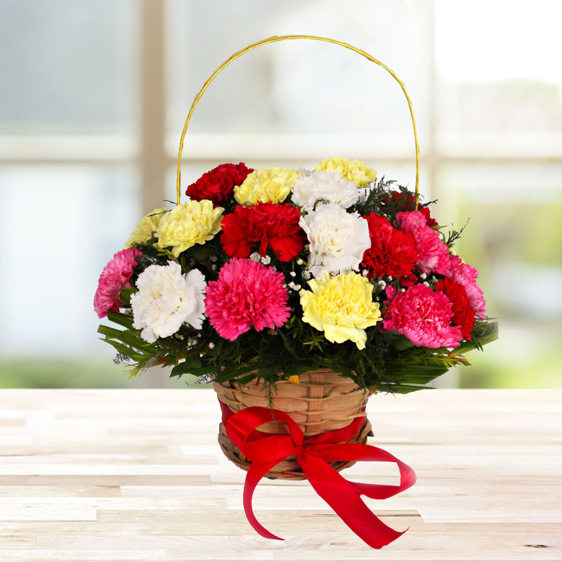 Fresh Day Carnation Basket