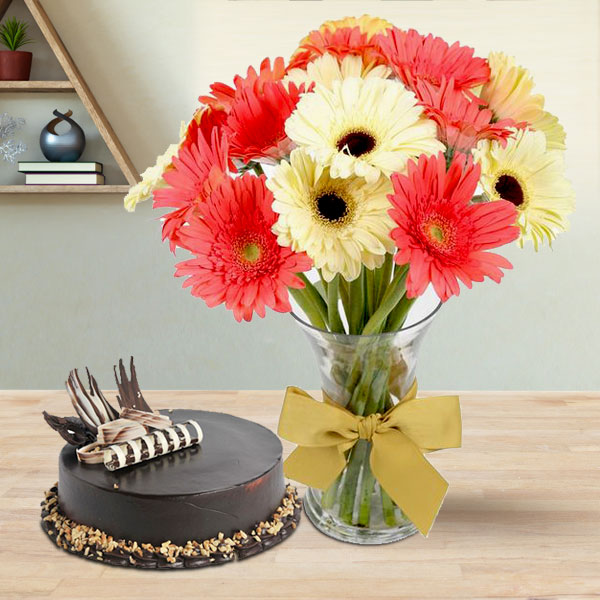 Mixed Gerbera Vase with Cake