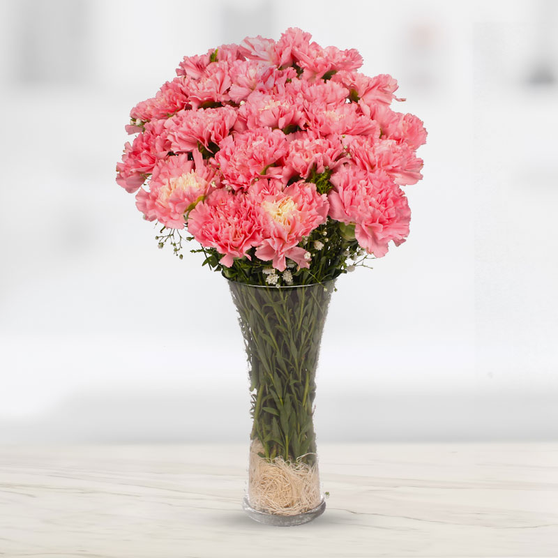 Pink Carnation Vase