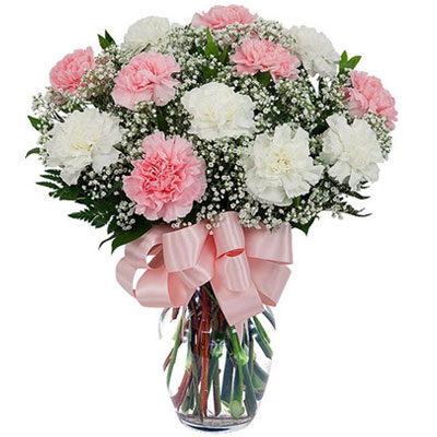 Wonderful Carnation Vase