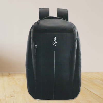 Skybags Intern Large Professional Backpack