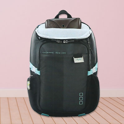 Skybags Professional Backpack