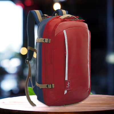 Skybags Protekt Overnighter Backpack