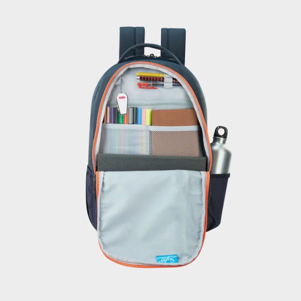 Skybags Backpack Campus