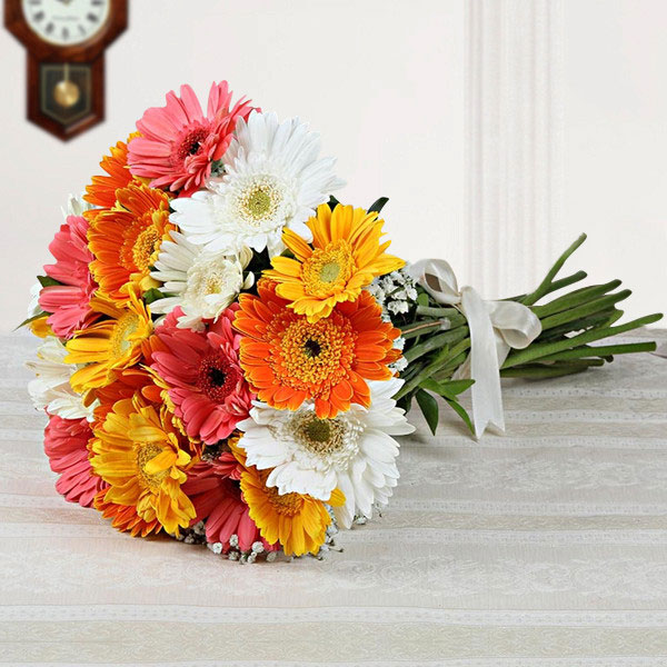 15 Mixed Gerberas – Midnight Delivery