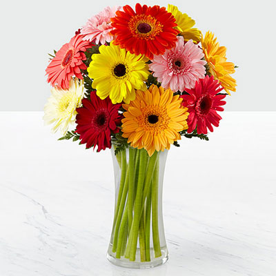 Colourful Gerbera Vase – Midnight Delivery