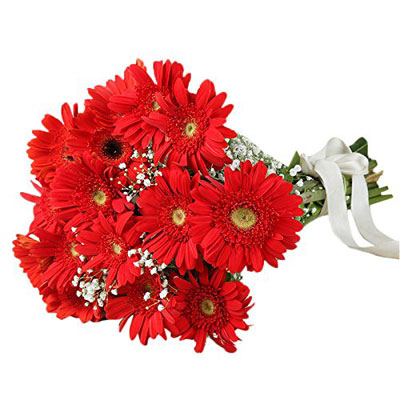 Red Gerberas Bouquet – Midnight Delivery