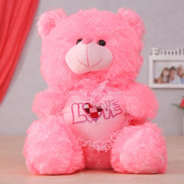 Lovely Pink Teddy