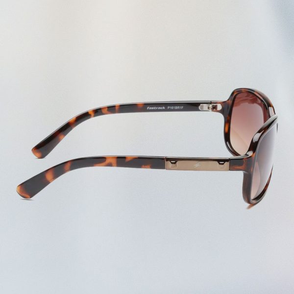 Brown Bugeye Women Sunglasses