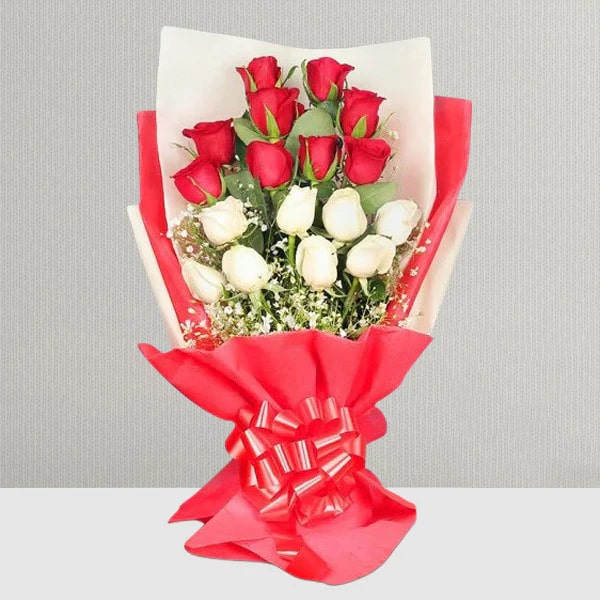 Premium 20 Red and White Roses